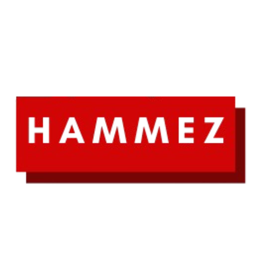 Hammez logo preview